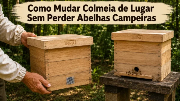 Como Mudar Colmeia de Lugar Sem Perder Abelhas Campeiras
