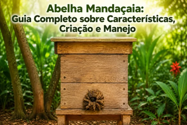 Abelha Mandaçaia: Guia Completo sobre Características, Criação e Manejo