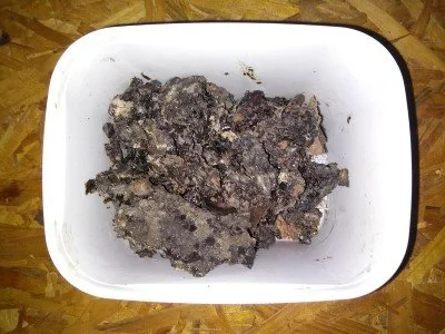 Geopropolis de Abelha Mandaçaia