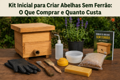 Kit Inicial para Criar Abelhas Sem Ferrão
