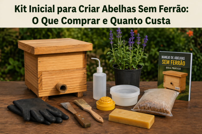 Kit Inicial para Criar Abelhas Sem Ferrão