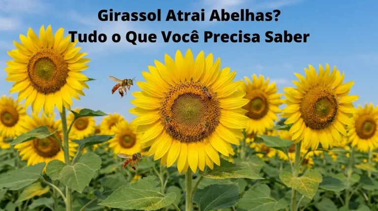 Girassol Atrai Abelhas? Tudo o Que Você Precisa Saber