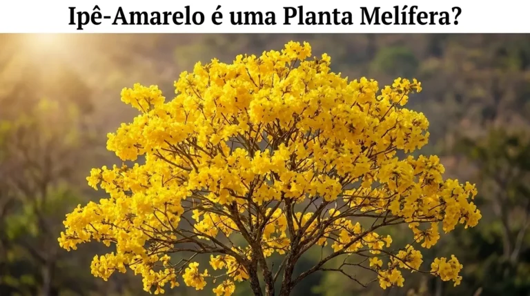 Ipê-Amarelo é uma Planta Melífera?