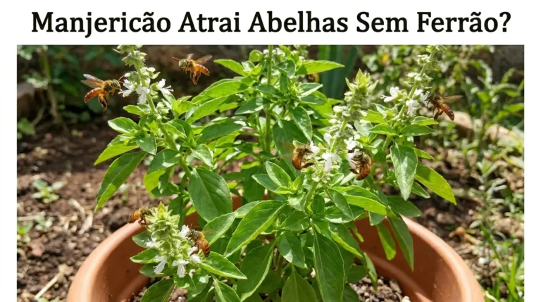 Manjericão Atrai Abelhas Sem Ferrão?